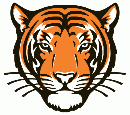 Princeton Tigers 2003-Pres Alternate Logo diy DTF decal sticker